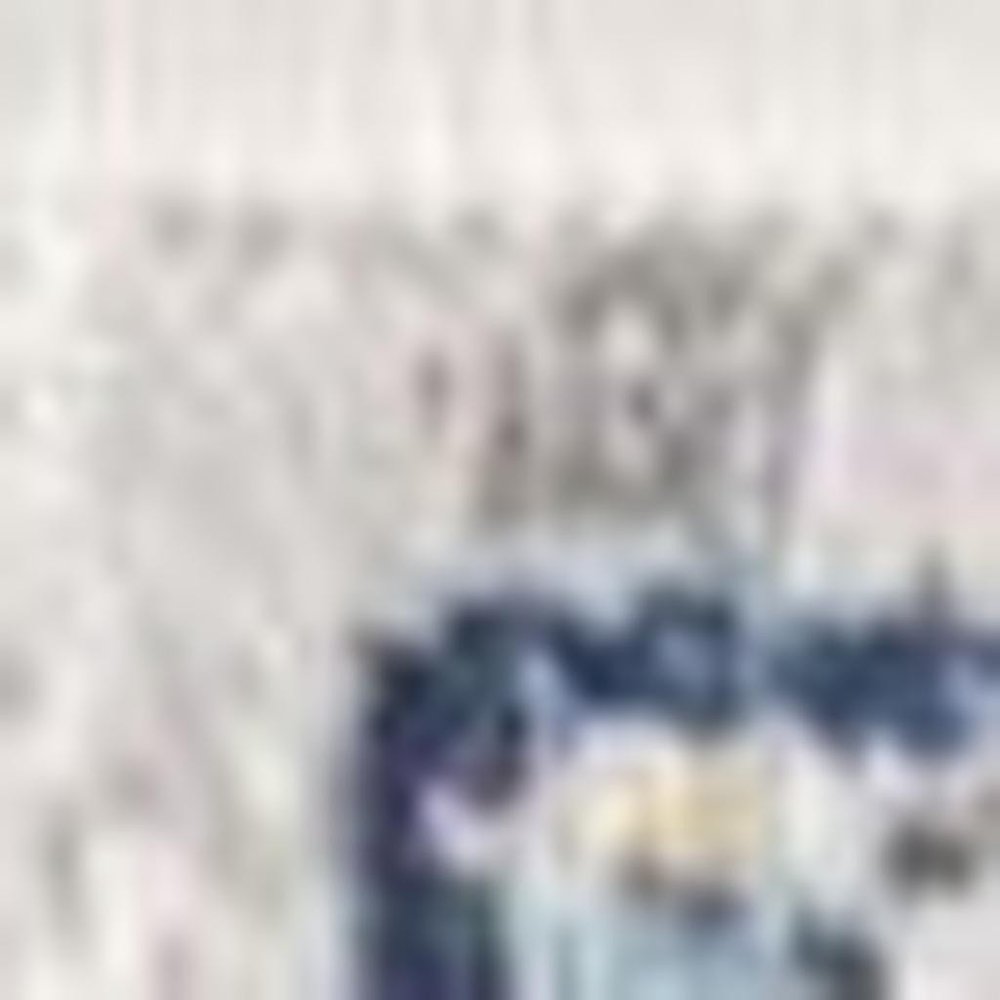 12' X 18' Blue and Yellow Floral Washable Non Skid Area Rug