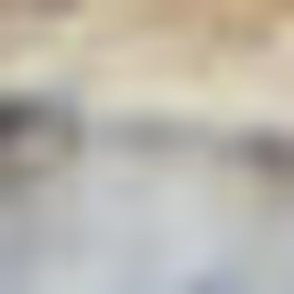 2' X 4' Light Grey And Blue Oriental Power Loom Distressed Washable Area Rug