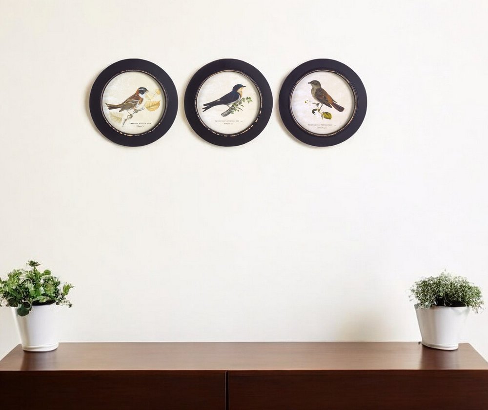 Set of Three Black Bird Circle Framed Art