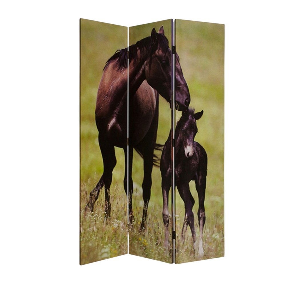 48" X 72" Multi Color Canvas  Screen With Nurturing Mare