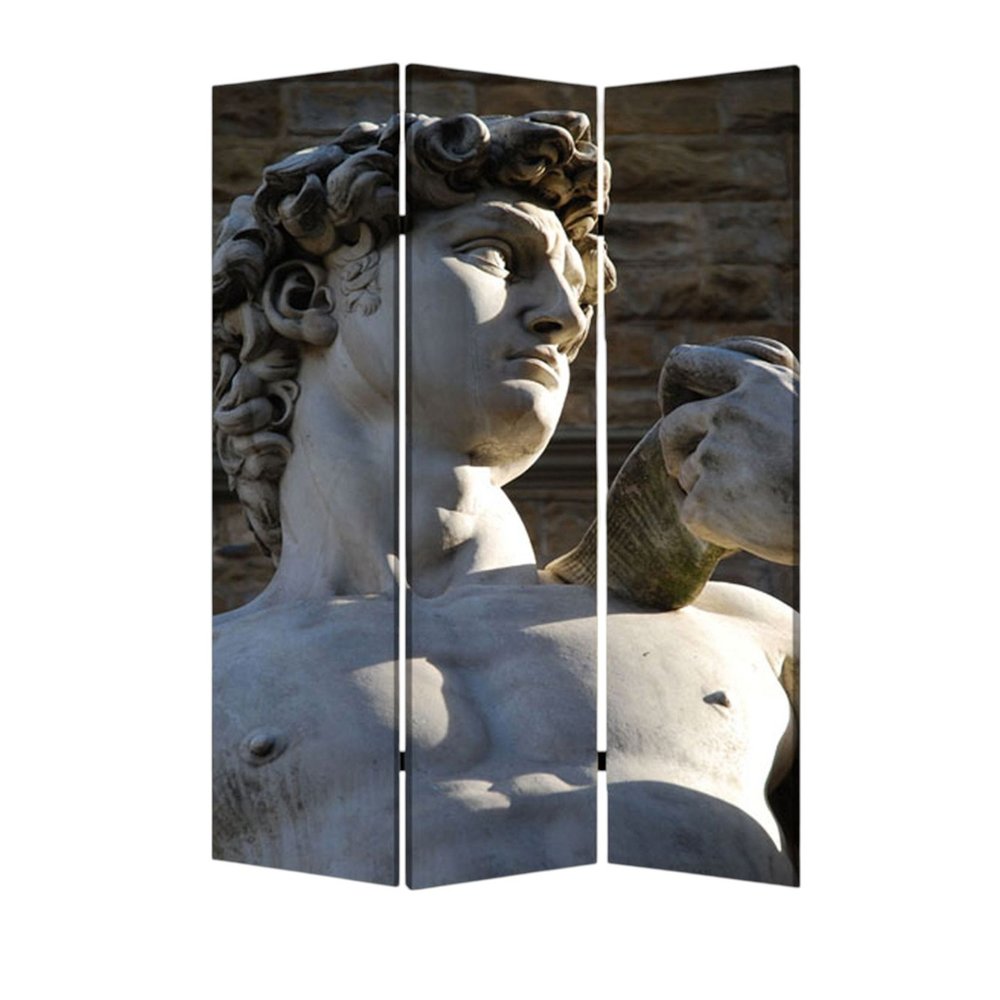 48" X 72" Multi Color Wood Canvas Rome  Screen