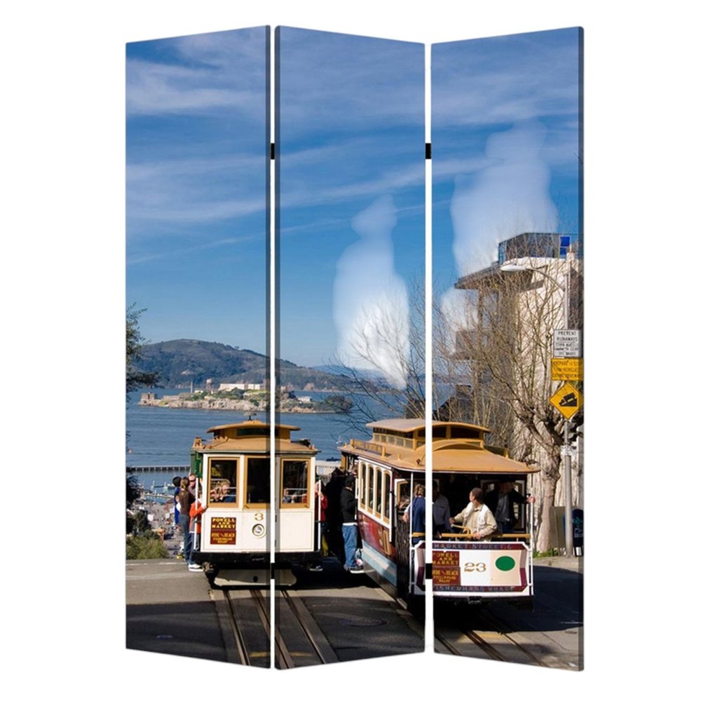 48" X 72" Multi Color Wood Canvas San Francisco  Screen