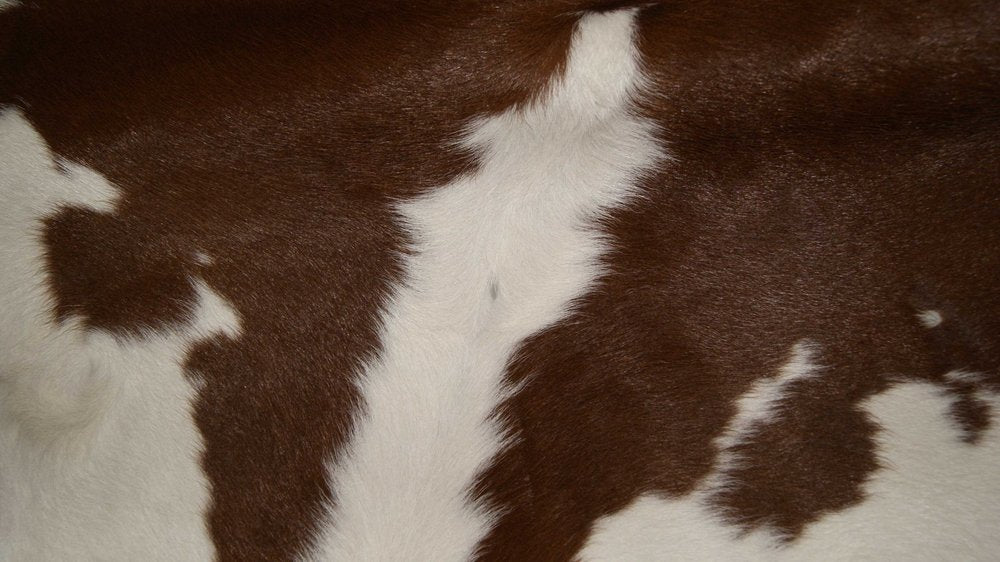 2' X 3' Brown And White Cowhide Cowhide Print Hand Tufted Area Rug