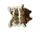 Brown/White