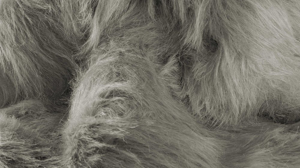 5' X 8' Off White Shag Area Rug