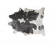 Silver/Black/White