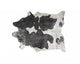 Silver/Black/White