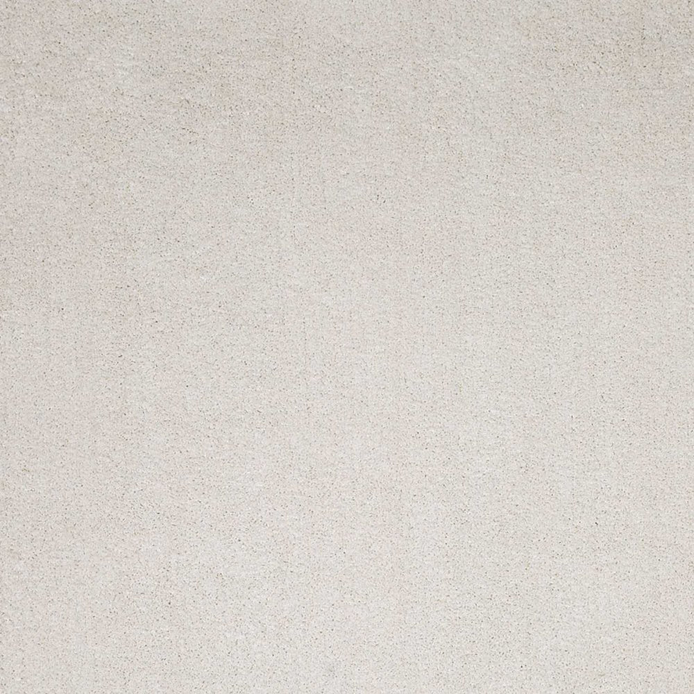 8' X 11' Ivory Shag Hand Woven Area Rug