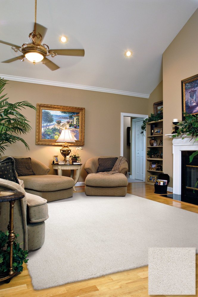 8' X 11' Ivory Shag Hand Woven Area Rug