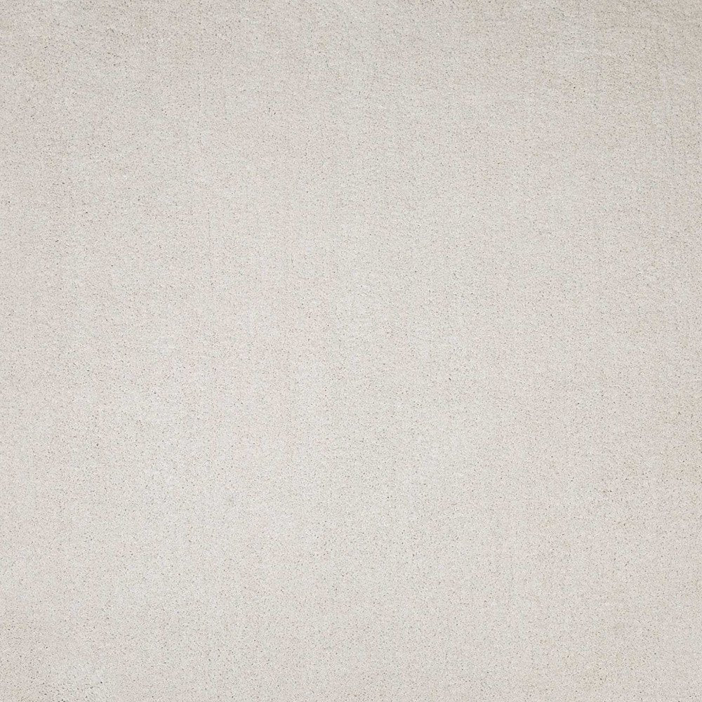 8' X 11' Ivory Shag Hand Woven Area Rug