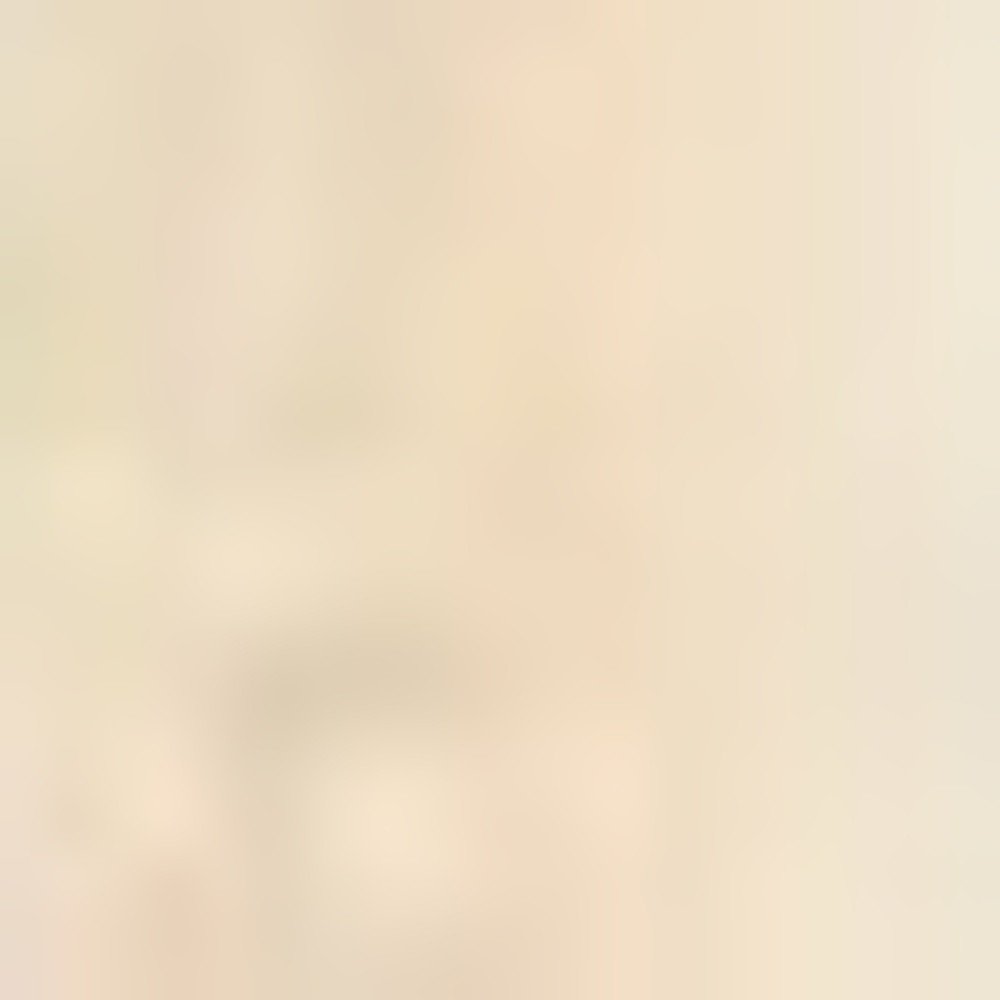 3' X 5' Red Ivory And Brown Floral Medallion Area Rug