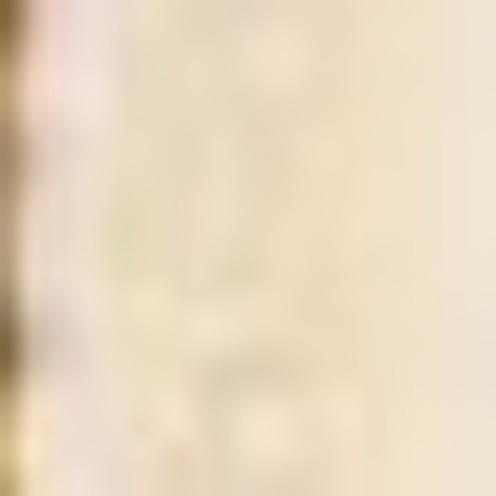 3' X 5' Red Ivory And Brown Floral Medallion Area Rug