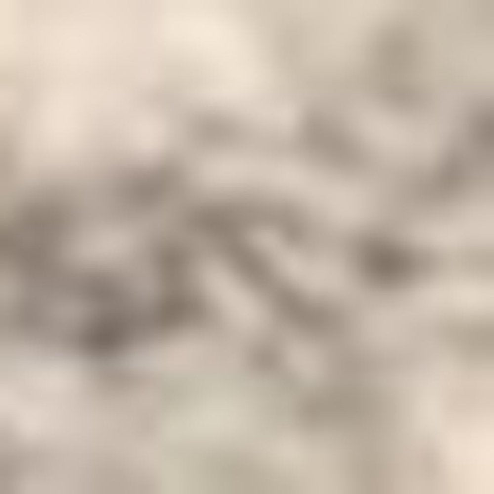 9' X 13' Ivory Area Rug