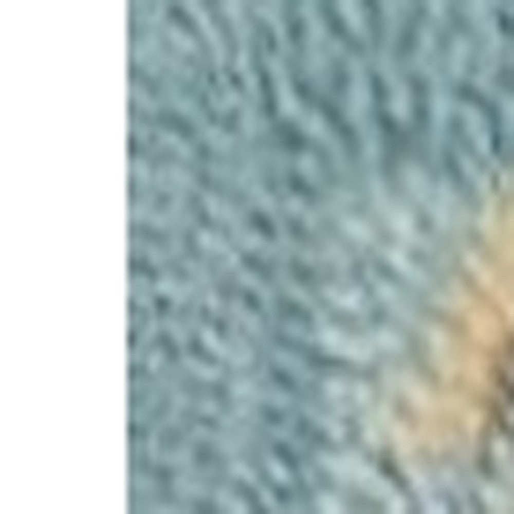 2' X 4' Blue Beige And Green Seashell and Coral Hand Tufted Area Rug