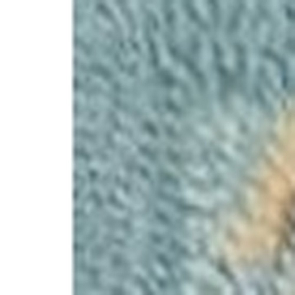 2' X 4' Blue Beige And Green Seashell and Coral Hand Tufted Area Rug