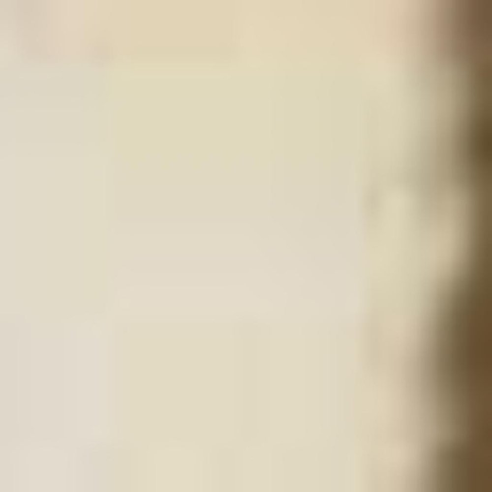 3' X 5' Red Ivory And Brown Floral Medallion Area Rug