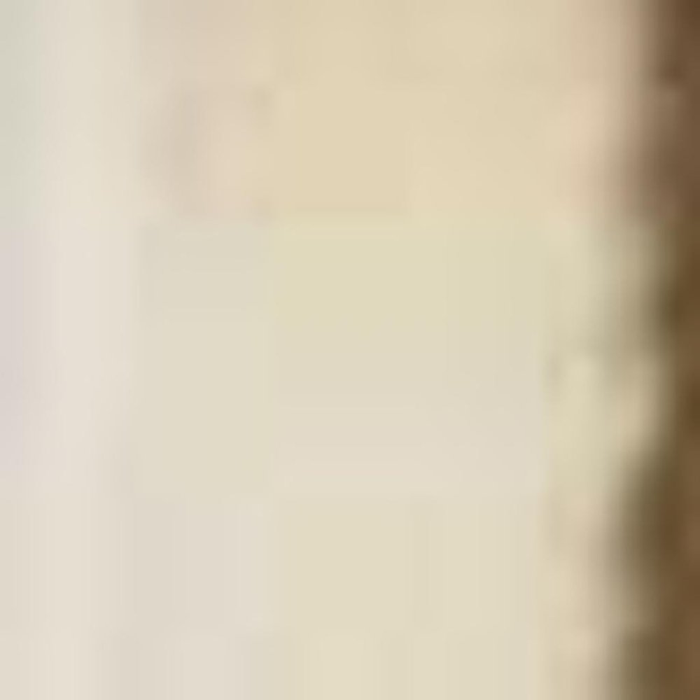 3' X 5' Red Ivory And Brown Floral Medallion Area Rug