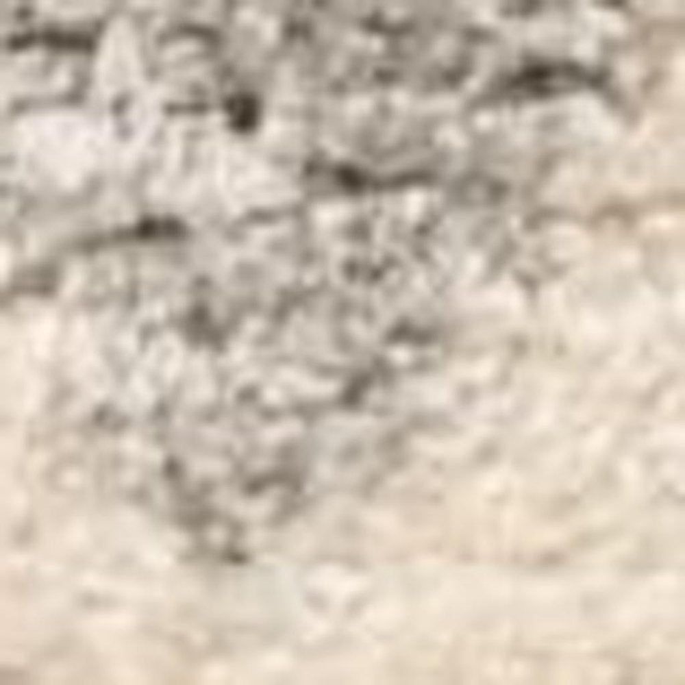 4' X 6' Ivory And Gray Geometric Distressed Area Rug