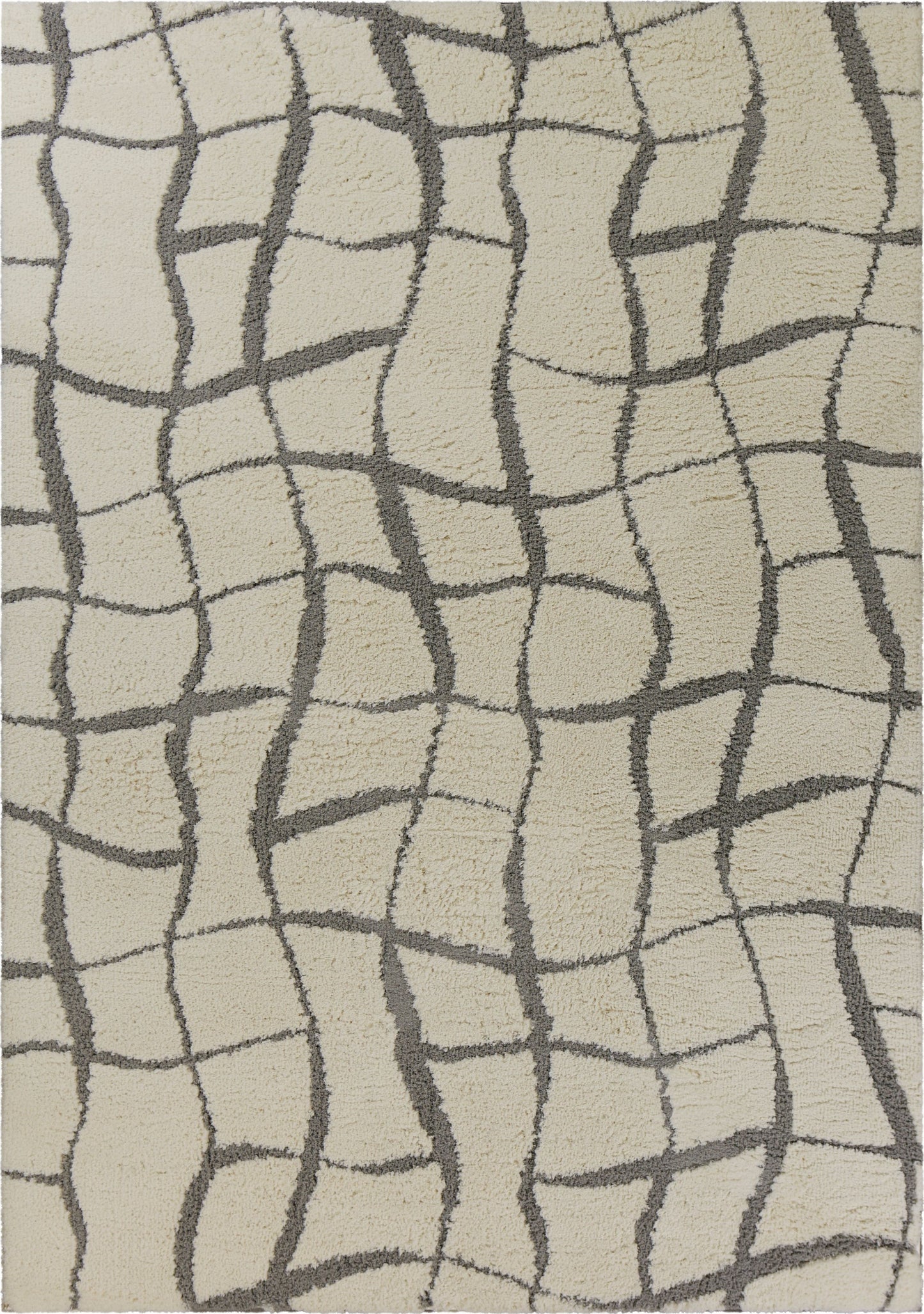 3' X 5' Ivory And Dark Gray Abstract Shag Area Rug