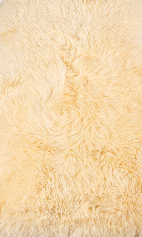 2' X 3' Beige Shag Area Rug