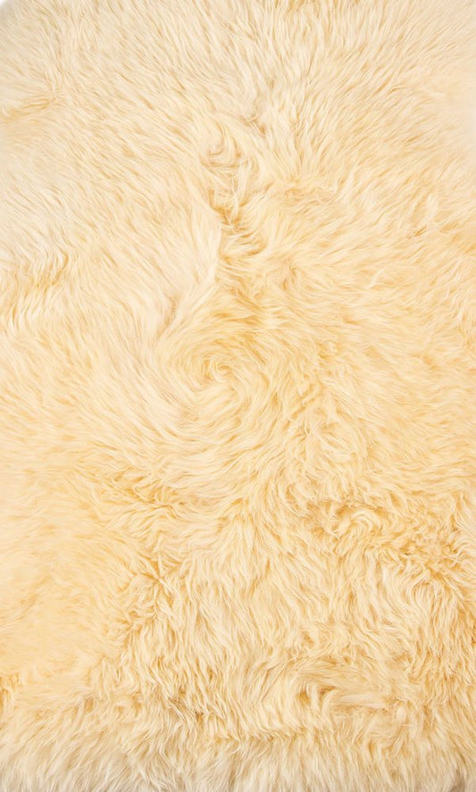 2' X 3' Beige Shag Area Rug