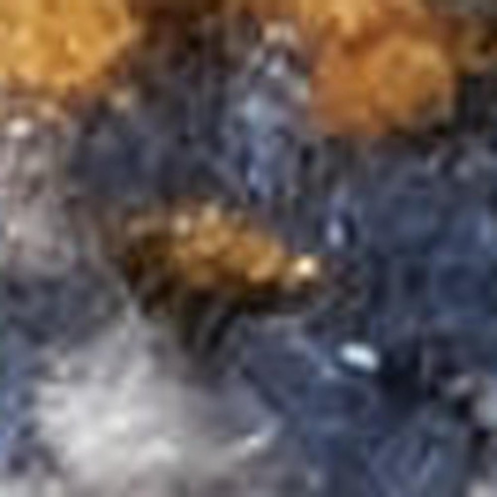 8' X 10' Gray Blue And Orange Quatrefoil Distressed Area Rug