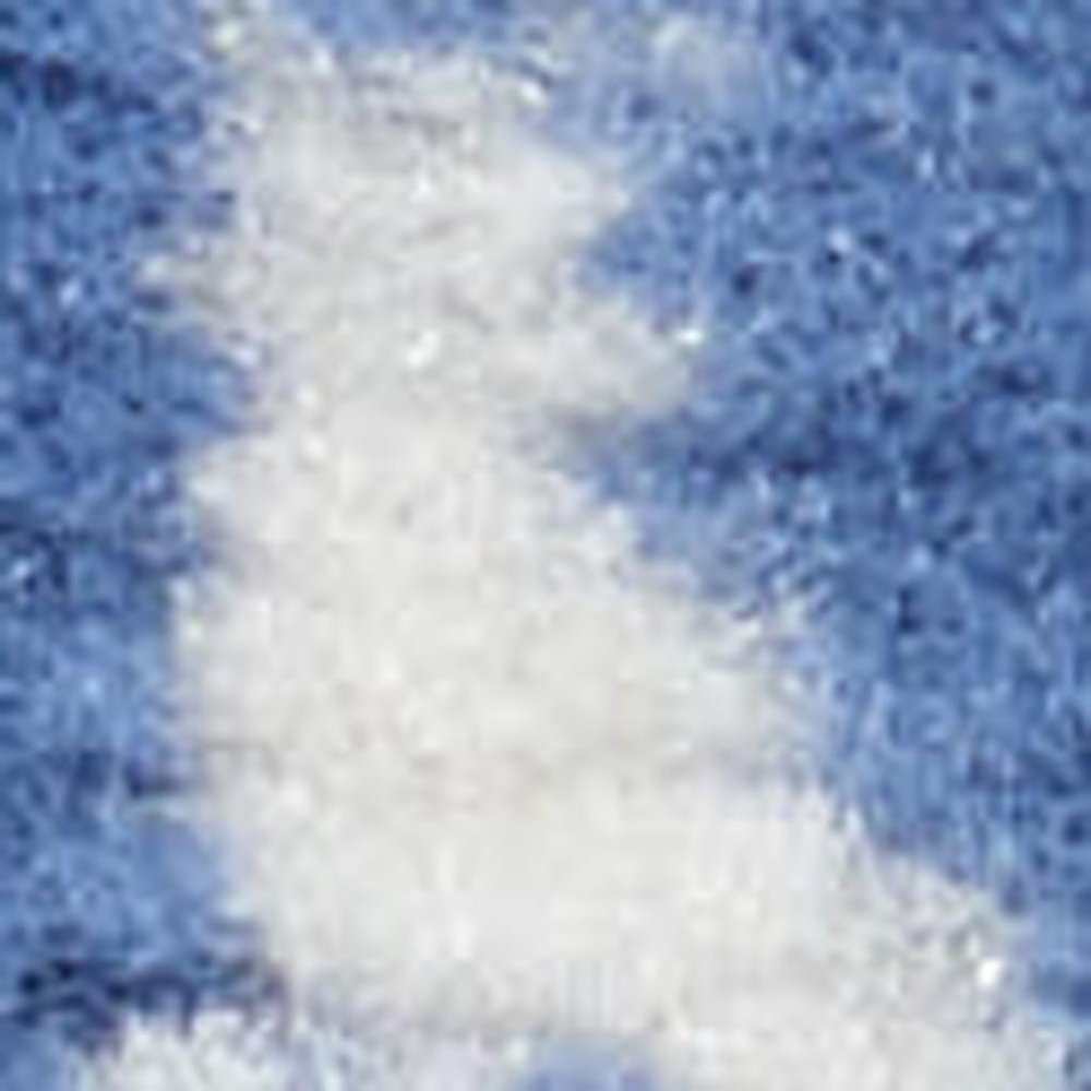 4' X 6' Blue And Ivory Floral Vines Distressed Area Rug