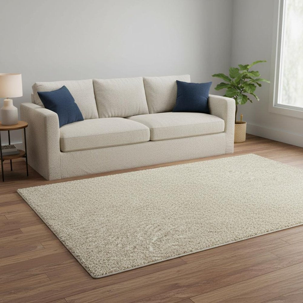 5' X 7' Modern Shag Ivory Indoor Area Rug