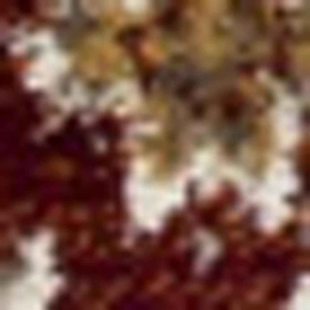 3' X 5' Rust And Ivory Oriental Area Rug