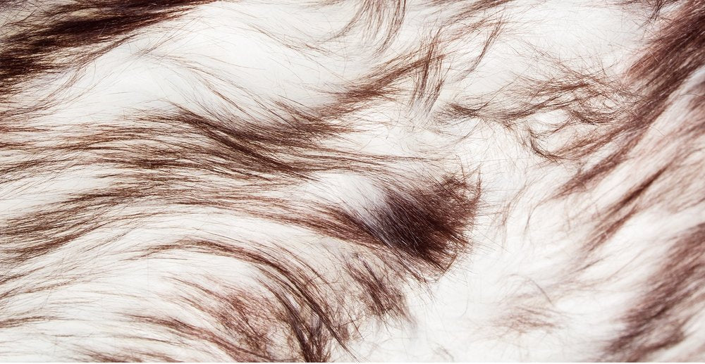 5' X 6' Chocolate Faux Sheepskin Ombre Shag Washable Area Rug