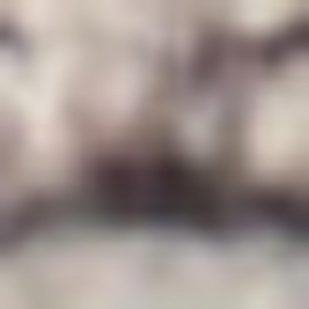 6' X 9' Ivory And Latte Medallion Distressed Washable Area Rug