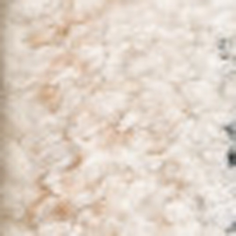 8' X 10' Beige And Grey Oriental Hand Loomed Stain Resistant Area Rug With Fringe