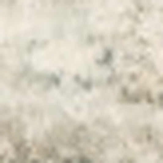 2' X 8' Gray And Ivory Oriental Power Loom Stain Resistant Runner Rug