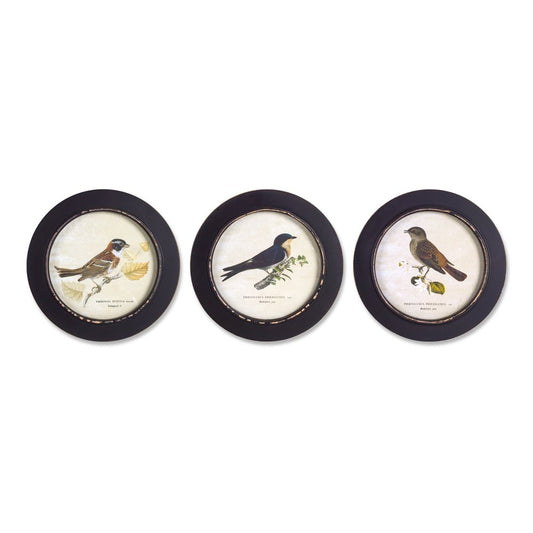 Set of Three Black Bird Circle Framed Art