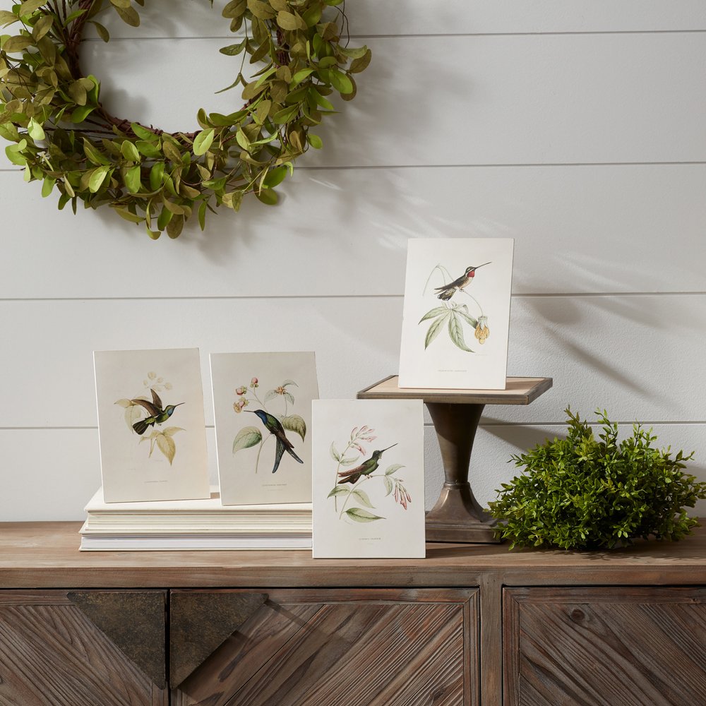 Set of Four White Hummingbird Framed Art