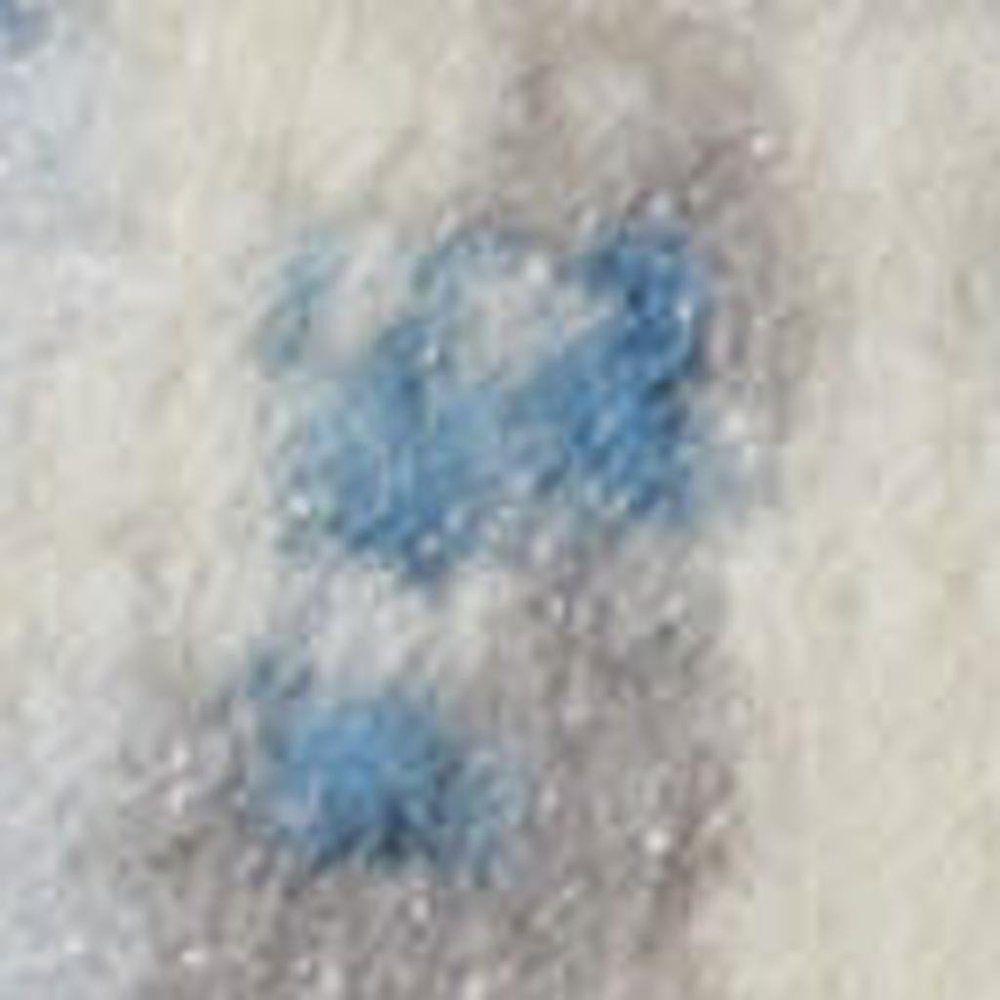 7' Cream Damask Power Loom Runner Rug