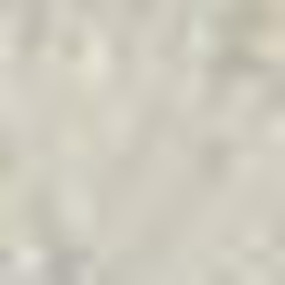 2' X 4' Light Blue Floral Power Loom Area Rug