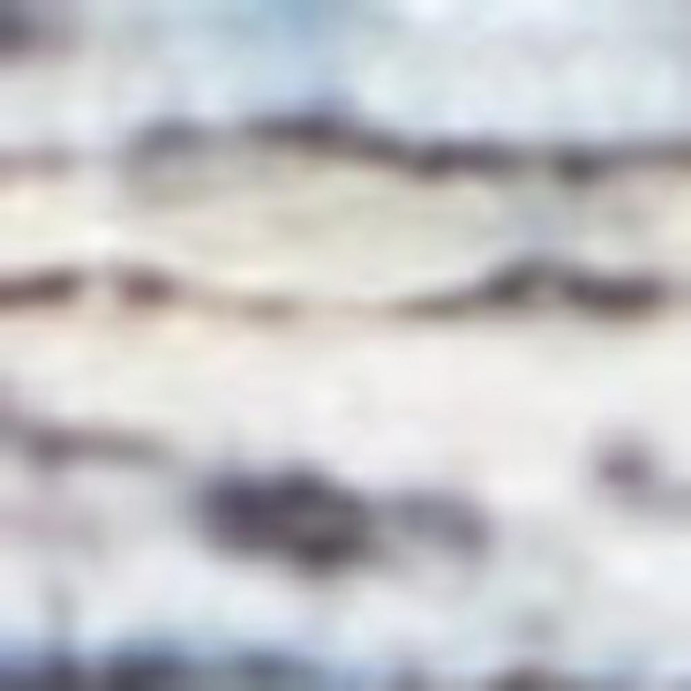 8' X 10' Blue Floral Power Loom Distressed Area Rug