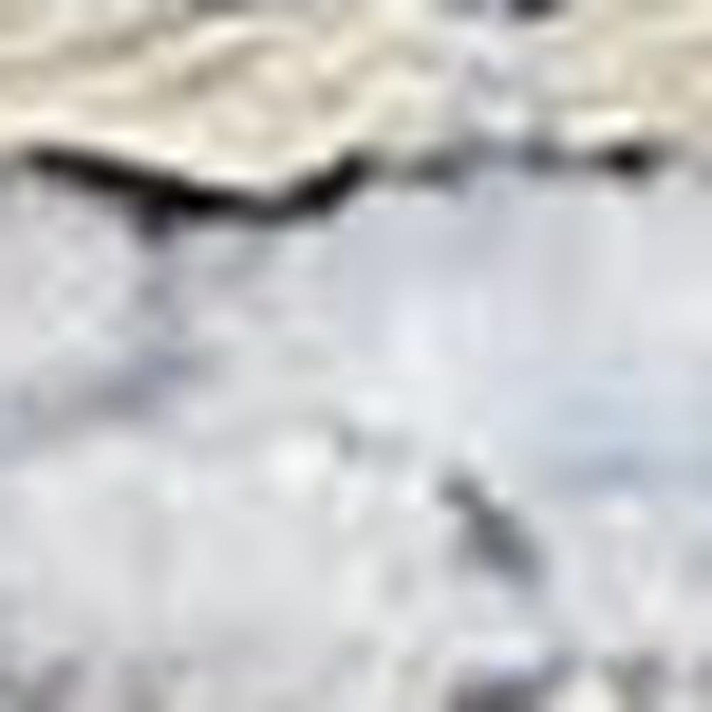 6' X 9' Blue And Pink Floral Power Loom Distressed Washable Area Rug