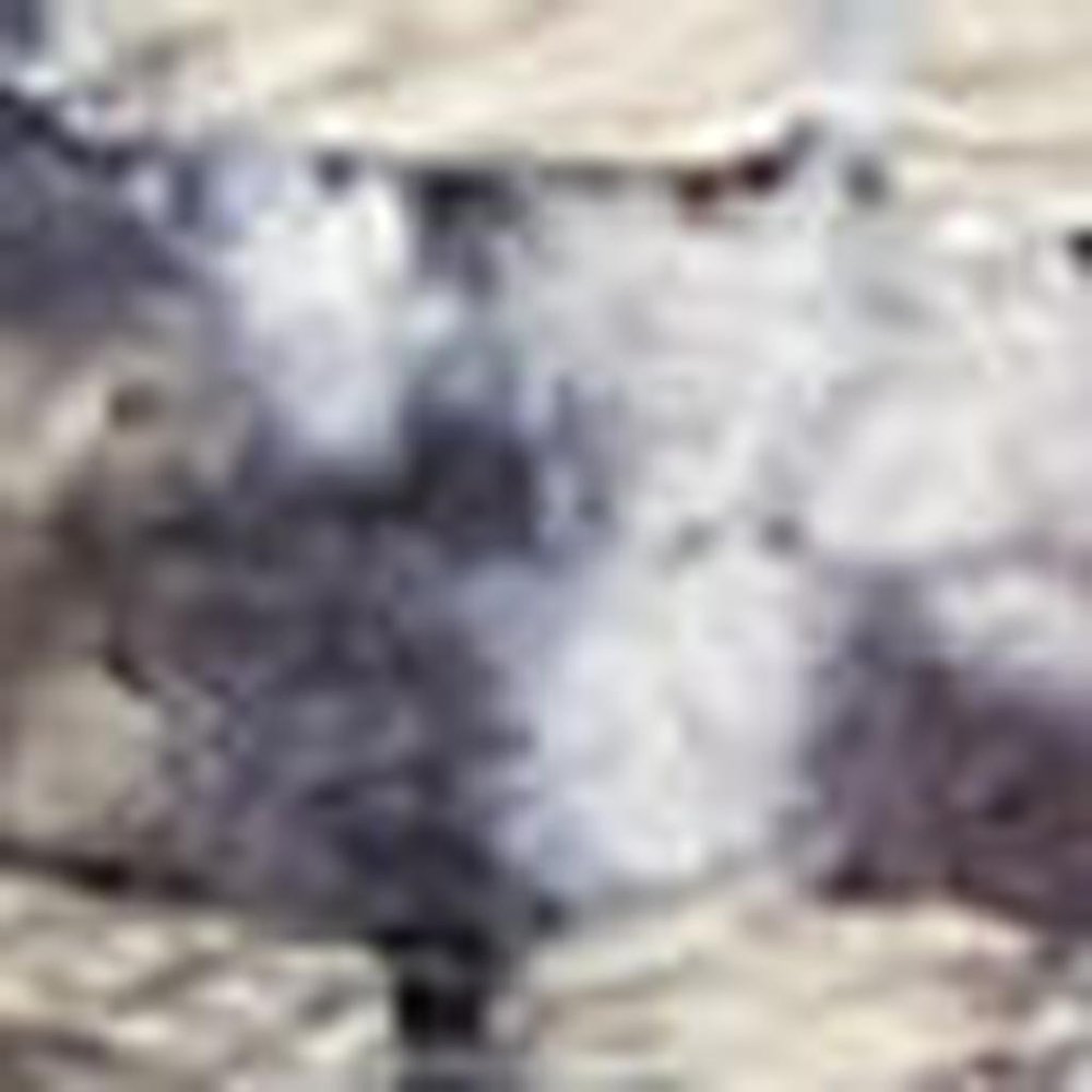 6' X 9' Gray Ivory and Blue Floral Distressed Washable Area Rug