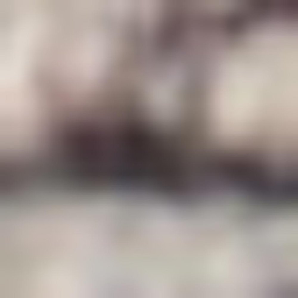 9' X 12' Ivory and Tan Floral Power Loom Distressed Washable Area Rug