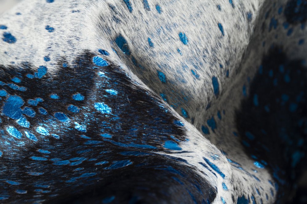 6' X 7' Brown and Silver Cowhide Hand Knotted Area Rug