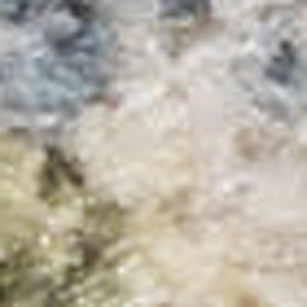 5' X 7' Blue and Ivory Floral Medallion Power Loom Distressed Washable Area Rug