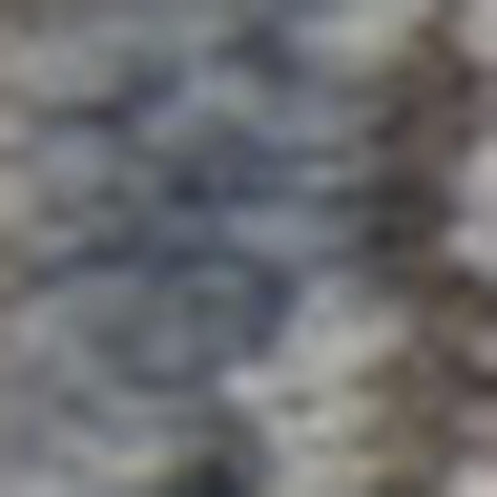 9' X 12' Beige and Blue Floral Medallion Power Loom Area Rug