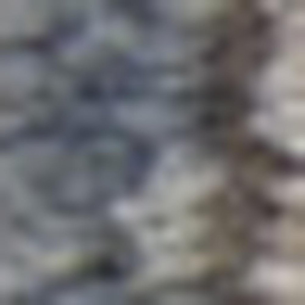 7' X 10' Beige and Blue Floral Medallion Power Loom Area Rug