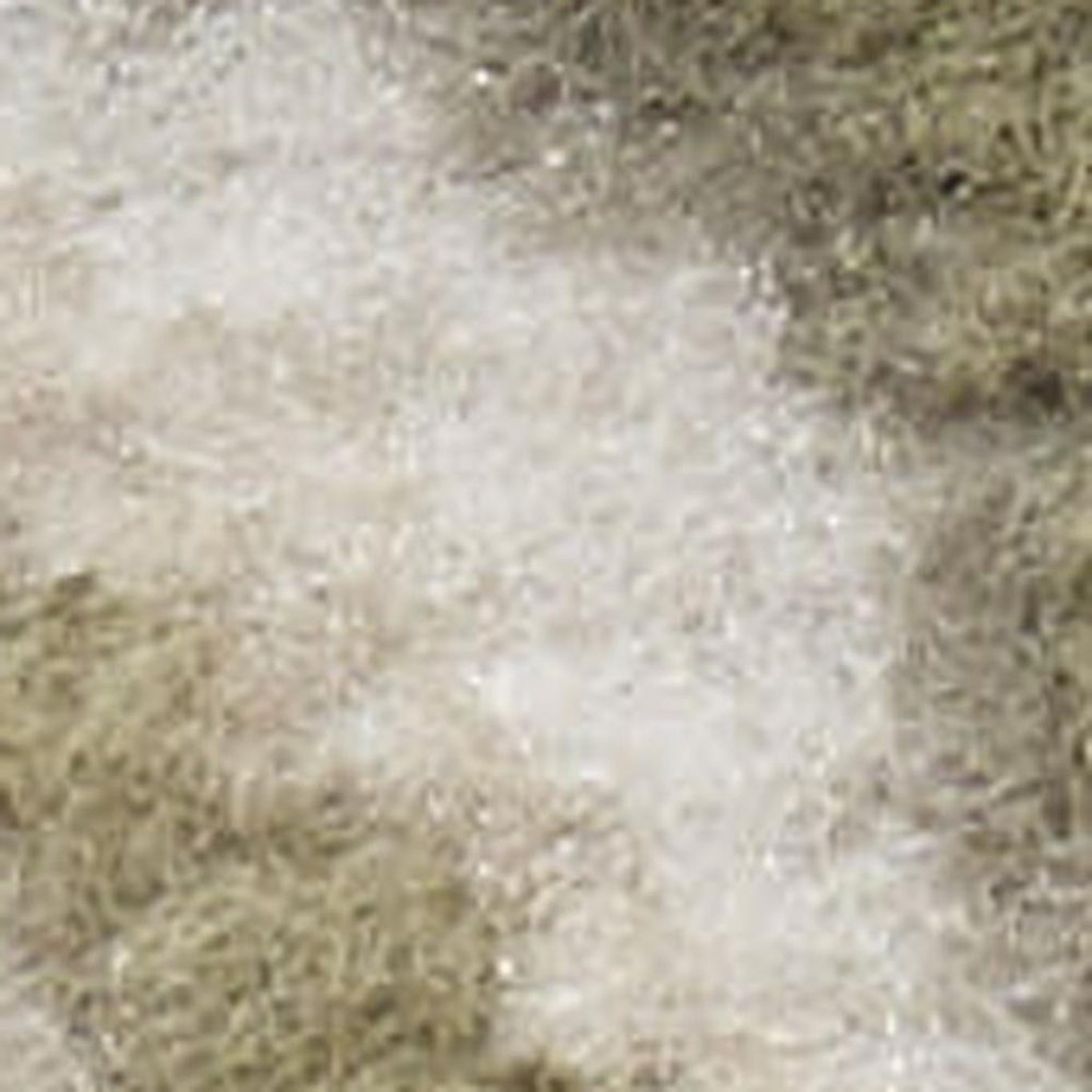 5' X 7' Green and Ivory Medallion Power Loom Distressed Area Rug