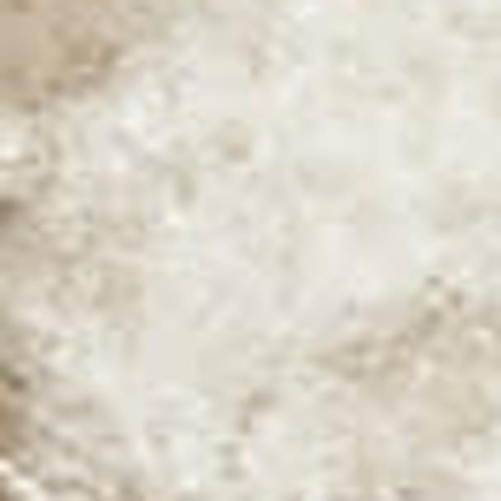 4' X 6' Gray Floral Distressed Area Rug