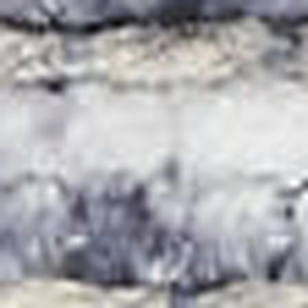 4' X 6' Ivory and Gray Floral Medallion Power Loom Distressed Area Rug