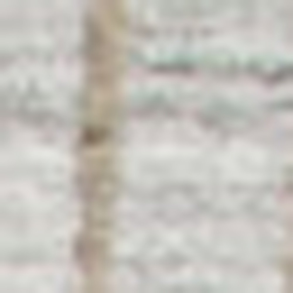 4' X 6' Gray and Ivory Geometric Hand Woven Area Rug